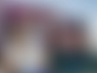 TEEH ordena abrir las cuentas de Mineral de la Reforma a Marlene Puertas