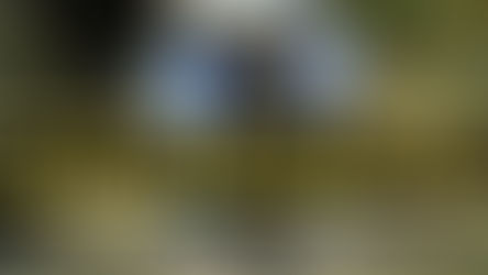 Restos humanos en Singuilucan, un “picado” en Tulancingo y un “macheteado” en Acaxochitlán