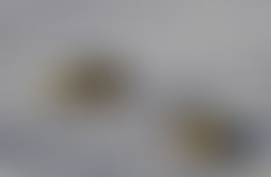Tula: reportan dos muertos en Nantzha, fueron baleados