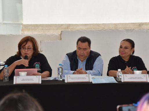 Tulancingo: la “Feria de los Angelitos” se queda sin comité, renuncia Elsa Mejía