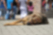 Investiga PGJEH envenenamiento de perros en Pachuca