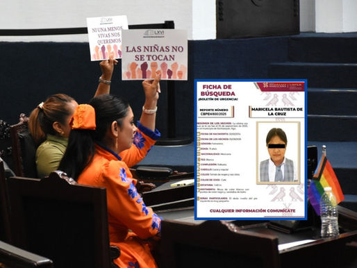 Justicia para Maricela, exige diputada del PT; fue encontrada sin vida en Xochiatipan