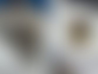 Rescate animal en Hidalgo: Atienden a tecolote y polluelo de cara cara