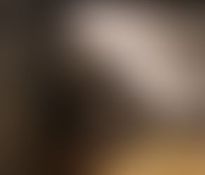 Hidalgo recibe a tigrillo de 4 meses proveniente de San Luis Potosí