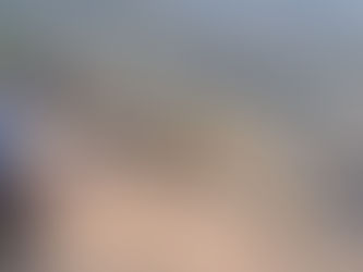 ¡Libres al fin! 16 ejemplares rehabilitados a su hogar en Metztitlán