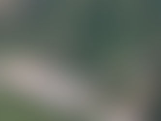 Tianguistengo: Desbordamiento de arroyo inunda viviendas en Chapula