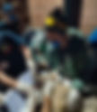 Inscripciones abiertas: 2º Curso de Rehabilitación de Fauna Silvestre en Pachuca