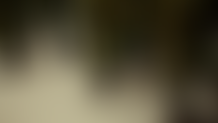 Luz verde en el Senado: Autorizan ingreso de tropas estadounidenses a México