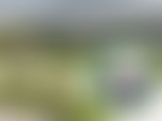 ITESA y Peraj México impulsan la educación de la niñez hidalguense