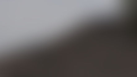 Ataque armado en Teotihuacán: reportan 7 heridos y la muerte del agresor