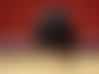 ¿Quién decide el futuro de la fiesta brava? El Congreso, animalistas o el sector taurino