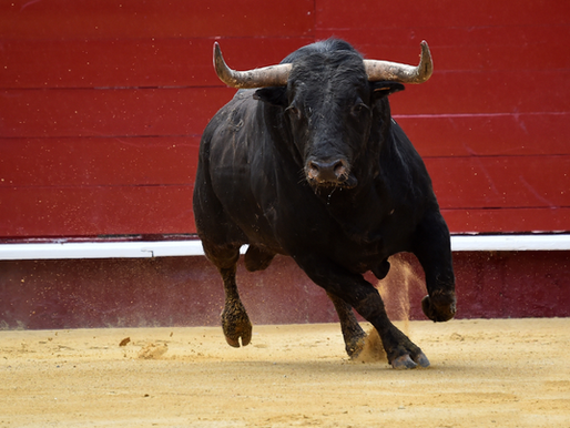 ¿Quién decide el futuro de la fiesta brava? El Congreso, animalistas o el sector taurino