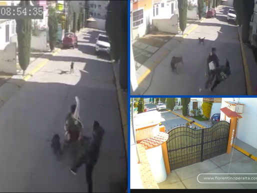 Captan agresión contra joven presuntamente autista en Pachuca