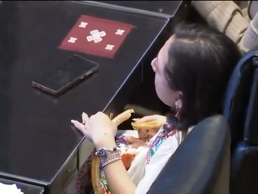 Captan a senadora de Morena comiendo churros durante la votación del "Plan B"