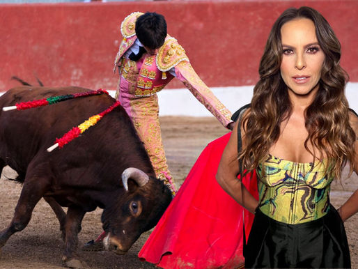 Kate del Castillo y otros artistas llaman a prohibir corridas de toros en Hidalgo
