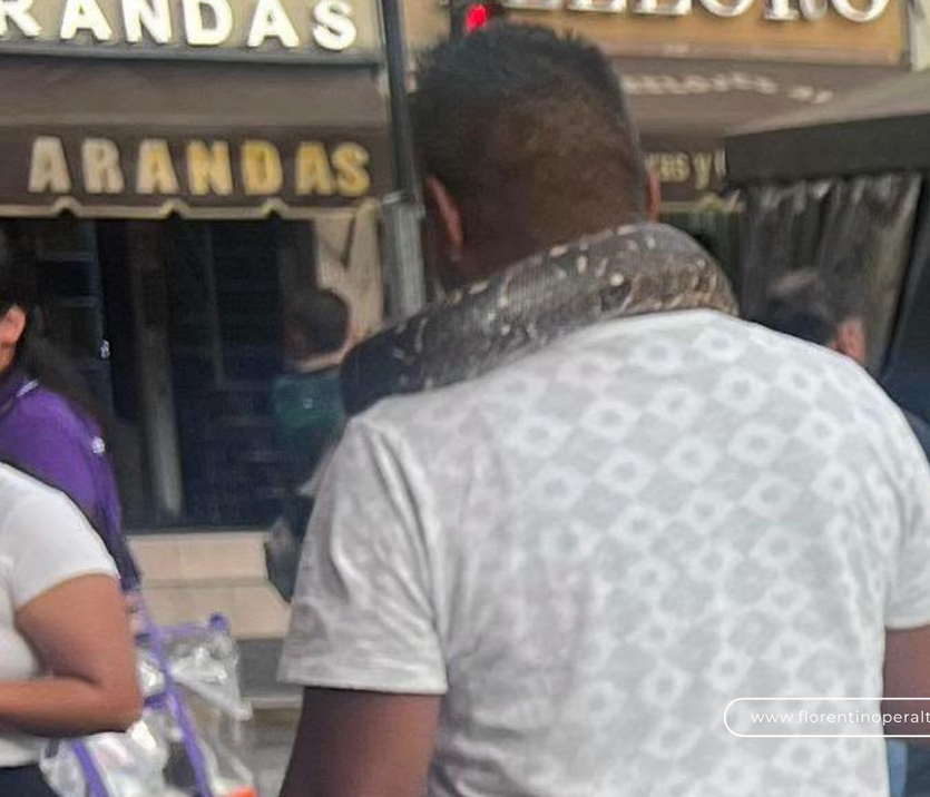 Hombre se pasea con boa en el cuello por las calles de Pachuca
