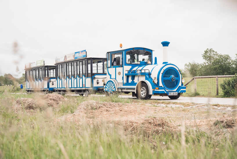 Die blau-weiße Bimmelbahn fährt auf dem Weg am Deich vom Hooksieler Strand entlang