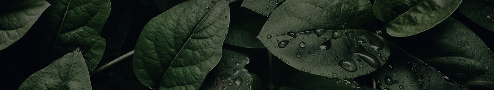 Banners-Web5.png