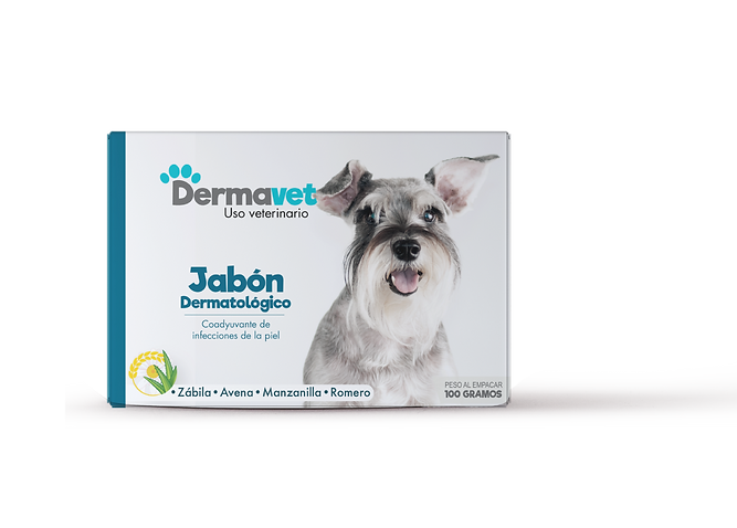 JabonDermatologico-01.png