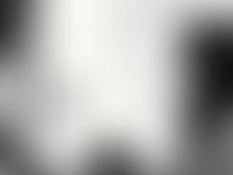 Board members of a foundation meeting to discuss the future