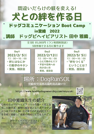 犬と会話しよう (1).png