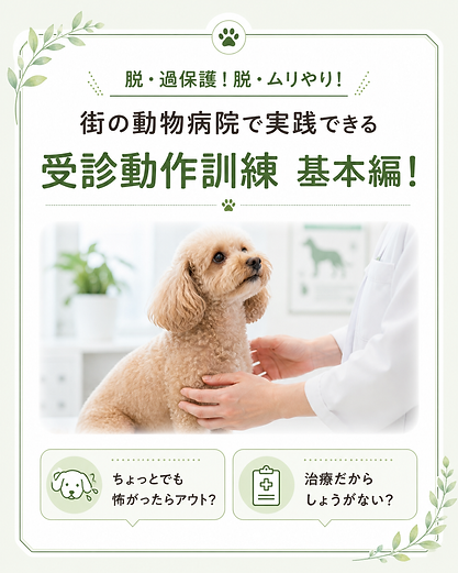 宮崎セミナー0711.png