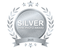 2025_SHINE-Award-SILVER.png