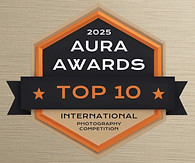 2025 - Top 10 Award_edited.jpg