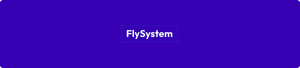 flysistem_edited.png