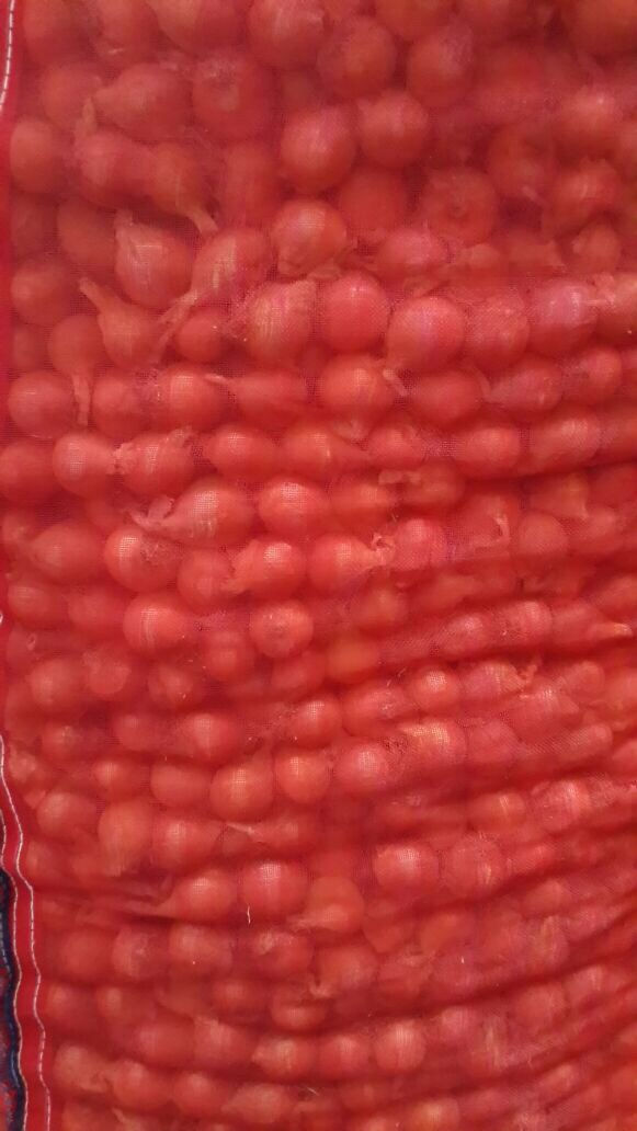 Onion (FIBC) Bag