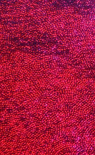 Fuchsia Pin Dot