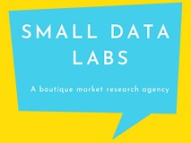 Small Data Labs (payoff).png