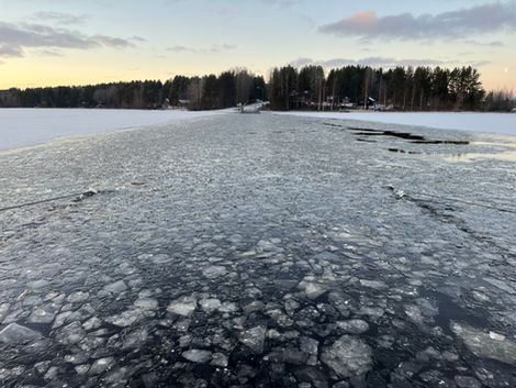 Suomu – November 2024