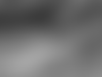 Palimpsests! Palimpsests Everywhere: Understanding Human Experience [2]