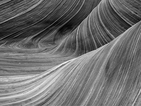 Palimpsests! Palimpsests Everywhere: Understanding Human Experience [2]