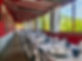 VERANDA RISTORANTE.jpg