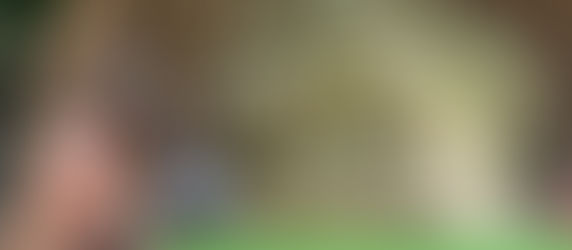 The Garden as a Sanctuary: A Place to Come Home to Yourself