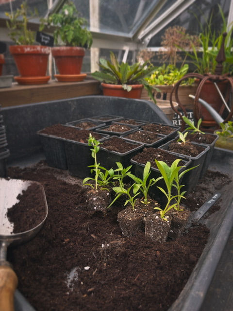 A reminder that big things start small