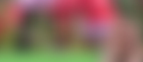 From Back Garden to Bouquet: A Beginner’s Guide to Growing Cut Flowers