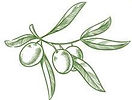 olive2.jpg
