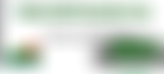 How Write a Blog Post for SEO