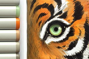 Онлайн-курс по рисованию маркерами для детей и взрослых, дистанционное обучение, Volha Sakovich, видео-курс