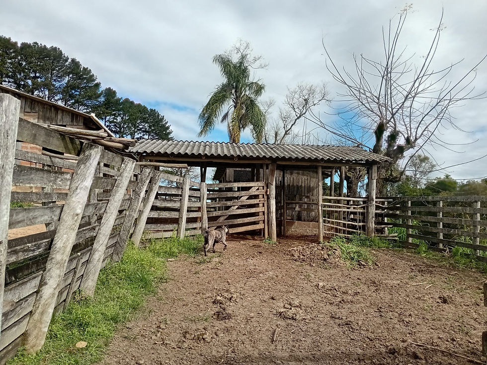 8cd4d30b-e26d-4350-a148-dec0321dbcde (1)