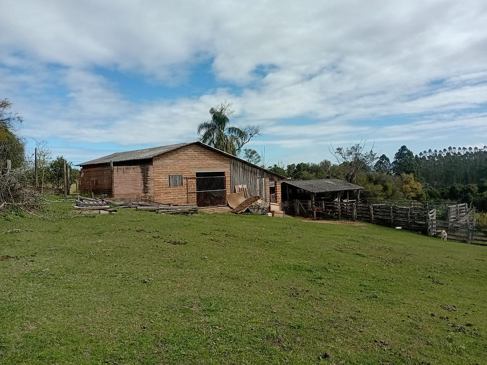 0f998982-76a0-44e3-b14a-7681ea238470