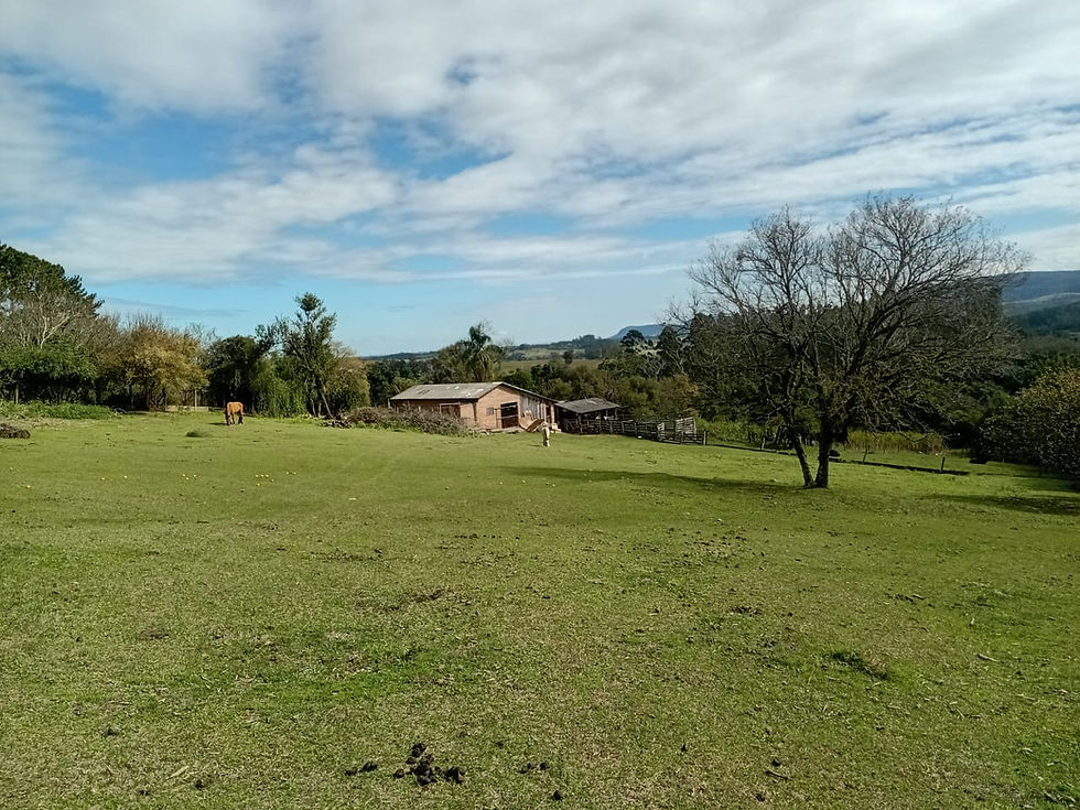 8a5d592e-d03c-4883-8a8d-226cc77f21e2