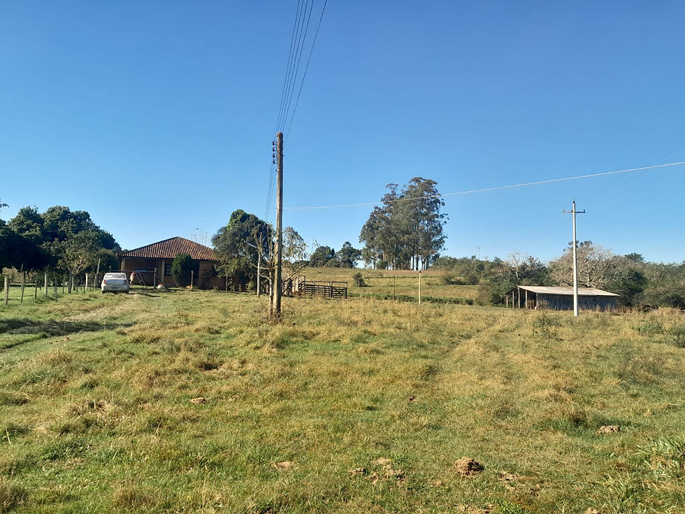 32256d55-37c2-4404-9dc9-e087a487aa09