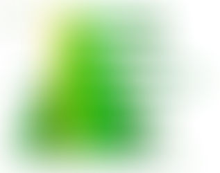 Plan de actuación para la mejora (PAM)