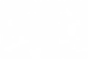 Bg.webp