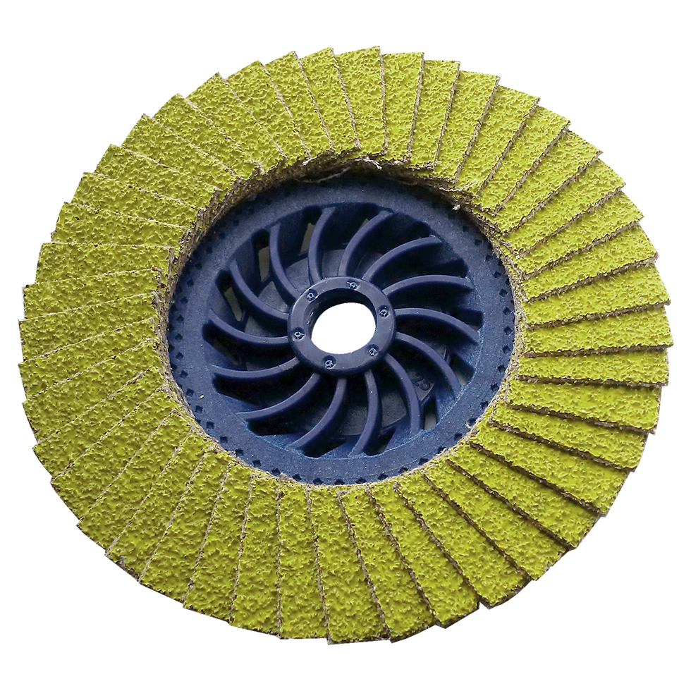 Flap Discs