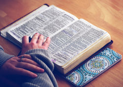 boss-fight-free-high-quality-stock-images-photos-photography-bible-book-notebook-woman-hands